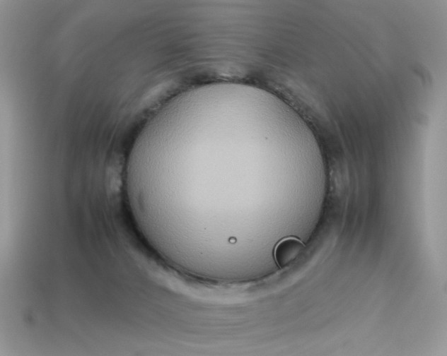 X0000113040032200909101927