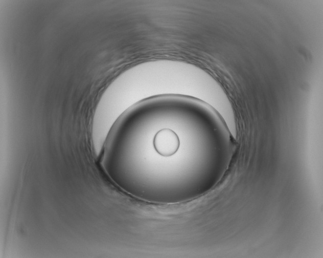 X0000113040033200909101927