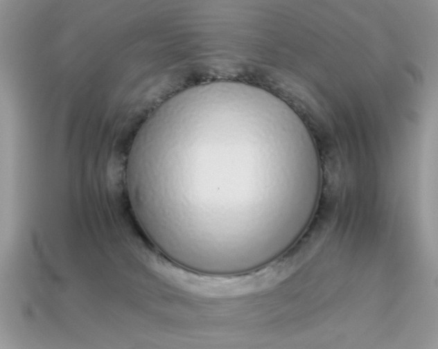 X0000113040034200909101927