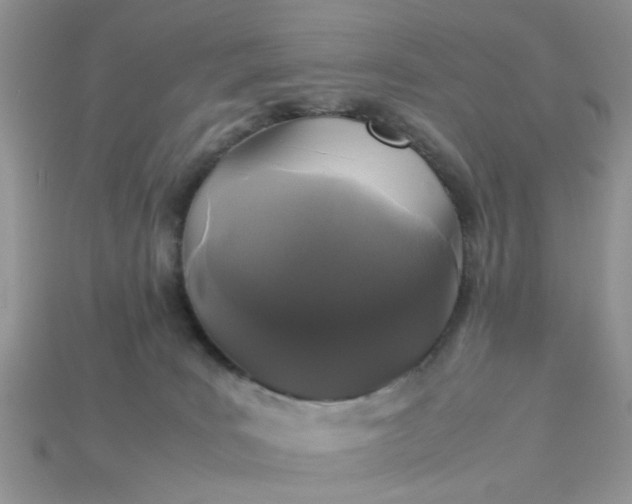 X0000113040035200909101927
