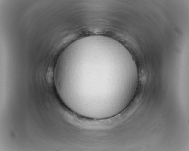 X0000113040036200909101927