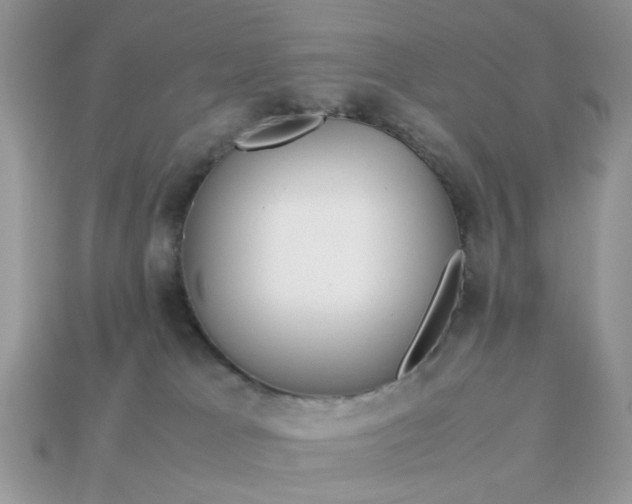 X0000113040037200909101927