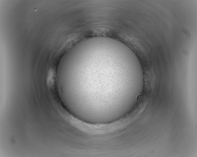 X0000113040038200909101927