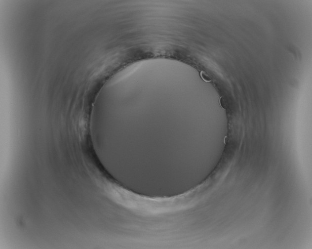 X0000113040039200909101927