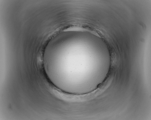 X0000113040040200909101927