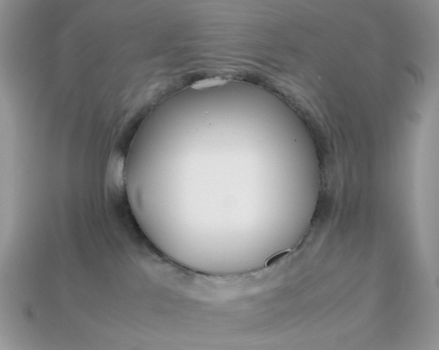 X0000113040041200909101927