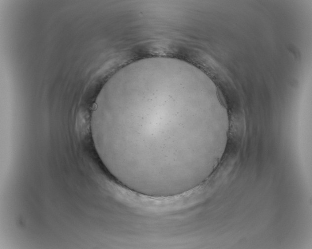 X0000113040043200909101927