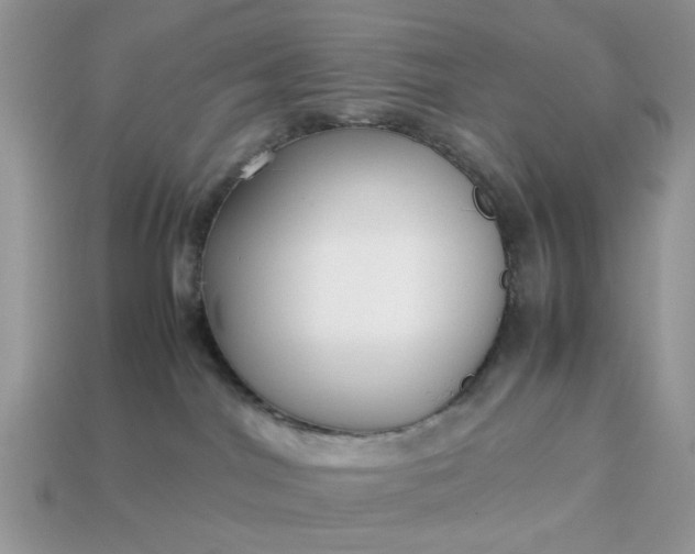 X0000113040044200909101927