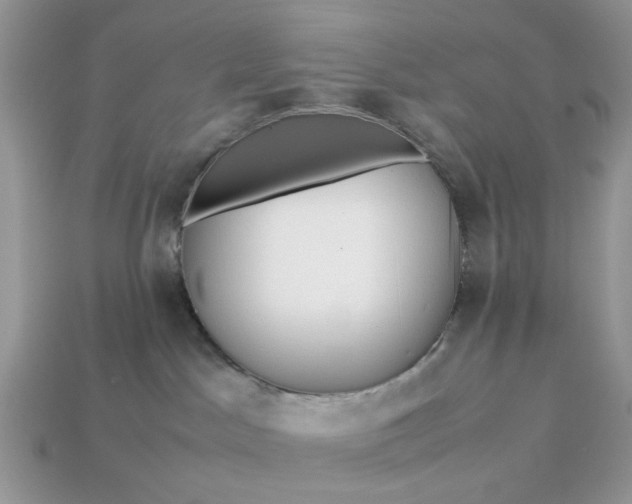 X0000113040045200909101927