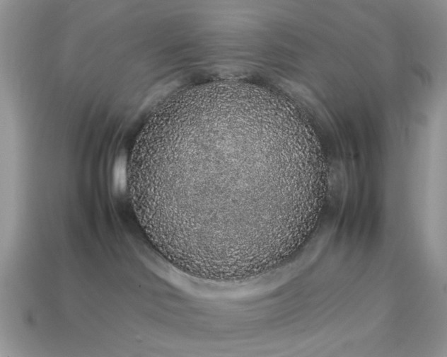 X0000113040046200909101927