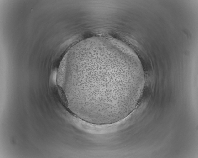 X0000113040047200909101927
