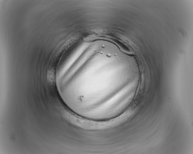 X0000113040048200909101927