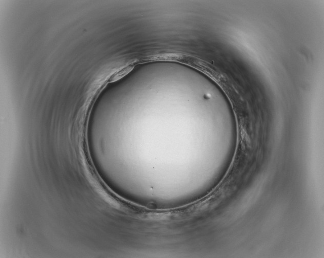 X0000113040049200909101927