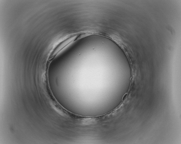 X0000113040050200909101927