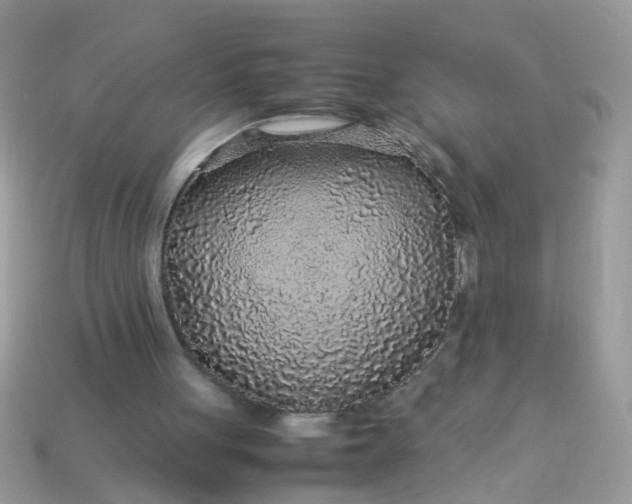 X0000113040051200909101927