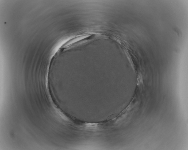 X0000113040052200909101927