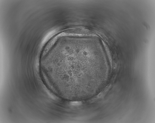 X0000113040053200909101927