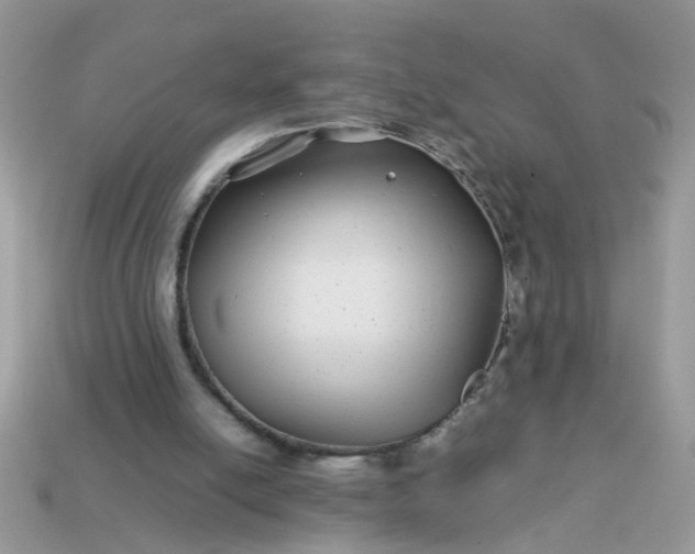 X0000113040054200909101927