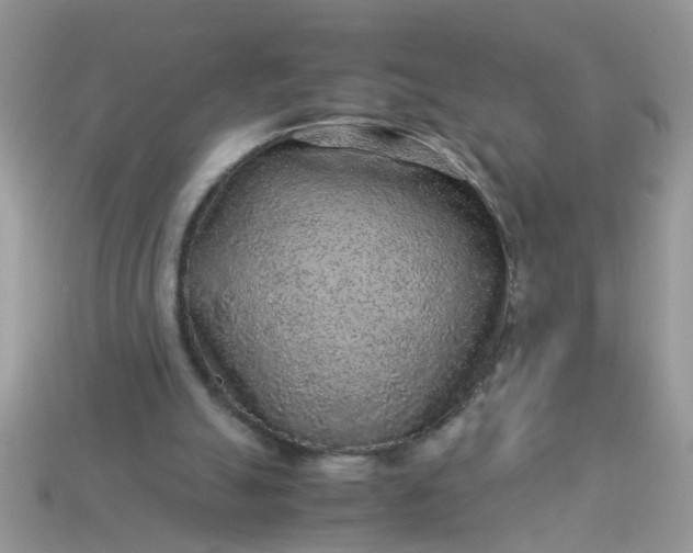 X0000113040055200909101927