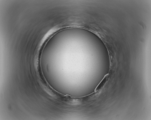 X0000113040056200909101927
