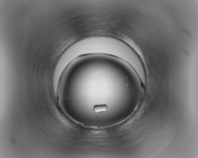X0000113040057200909101927