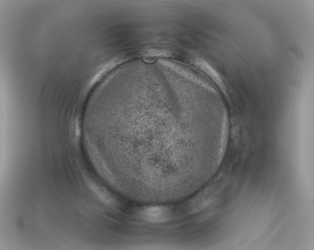 X0000113040059200909101927