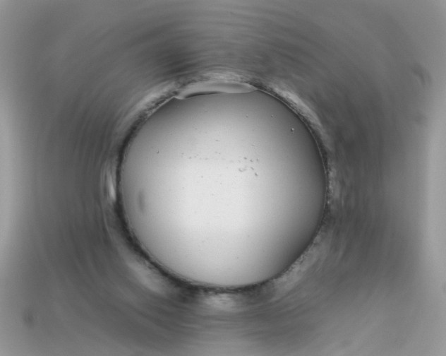 X0000113040062200909101927