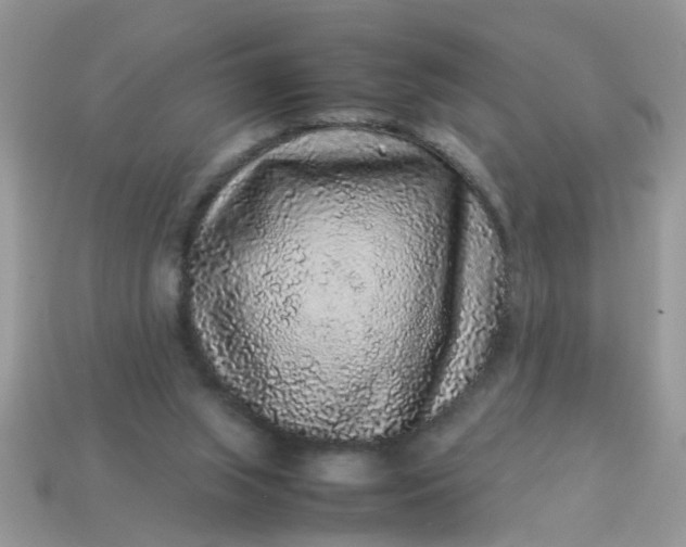 X0000113040063200909101927