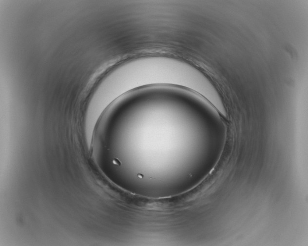 X0000113040064200909101927