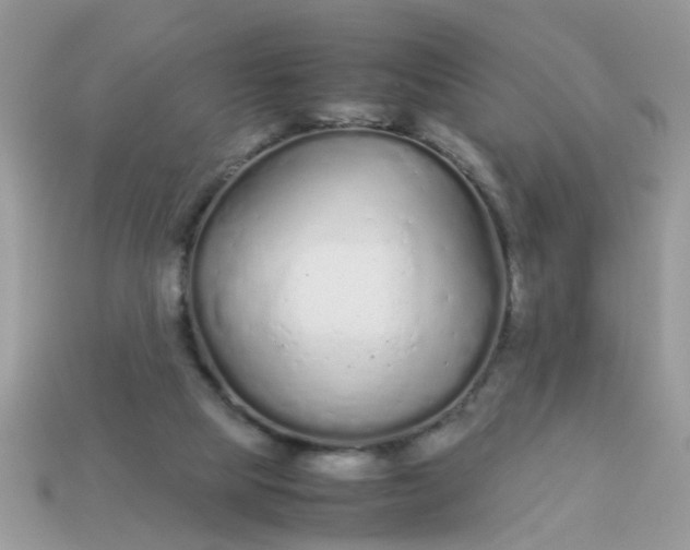 X0000113040065200909101927