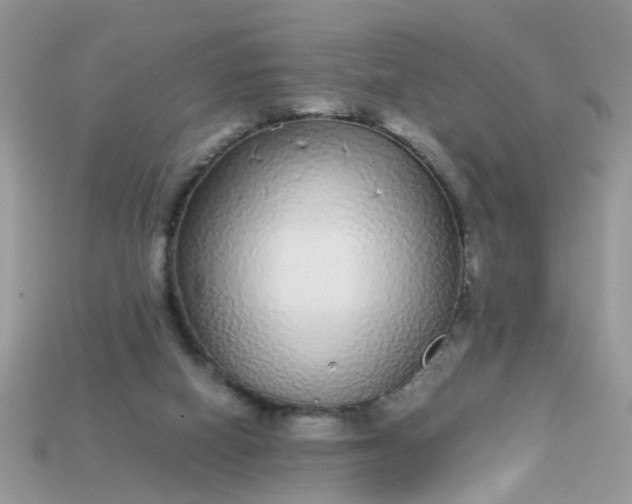 X0000113040066200909101927