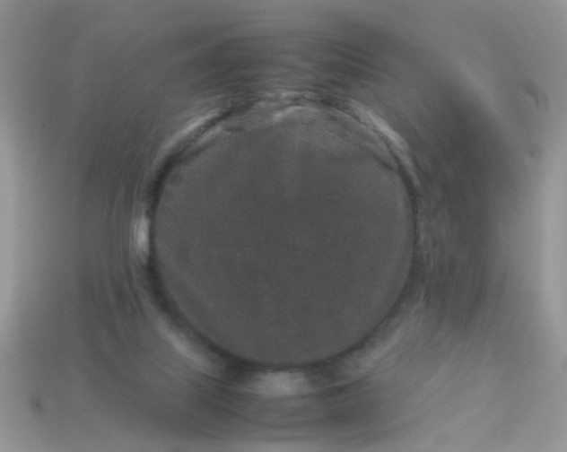 X0000113040067200909101927