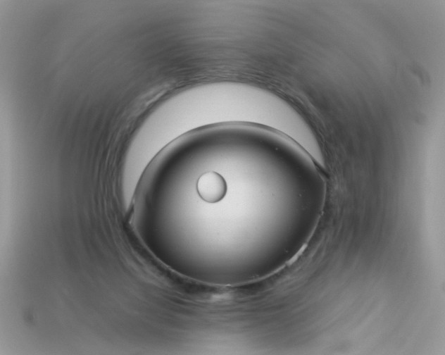 X0000113040068200909101927
