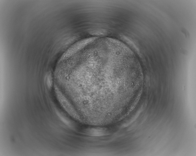 X0000113040069200909101927