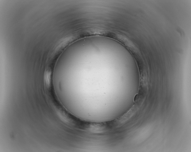 X0000113040070200909101927