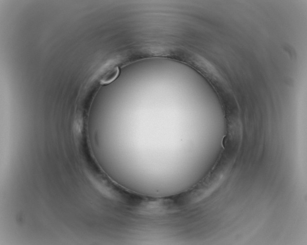 X0000113040072200909101927