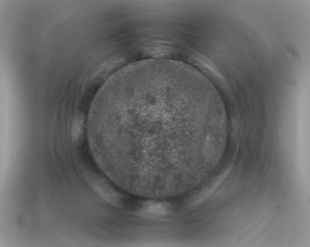 X0000113040073200909101927