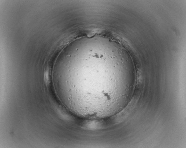 X0000113040074200909101927