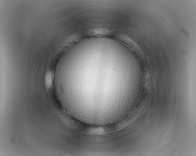 X0000113040075200909101927