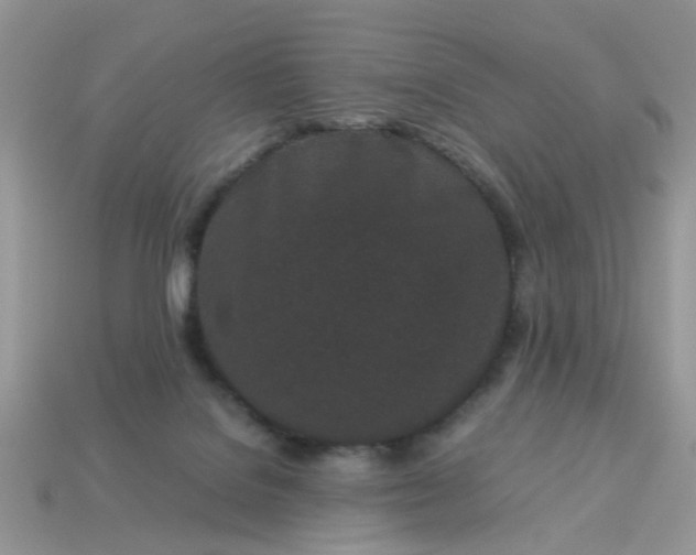X0000113040076200909101927