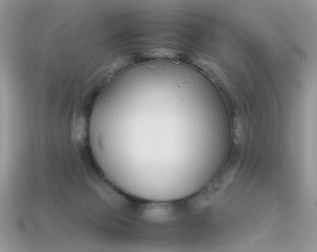 X0000113040077200909101927