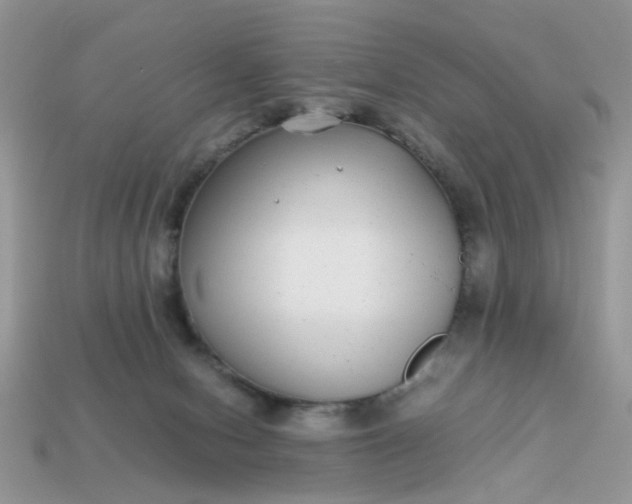 X0000113040078200909101927