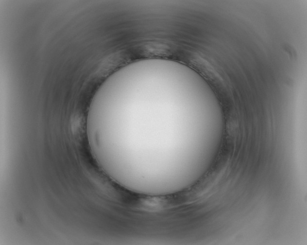 X0000113040079200909101927