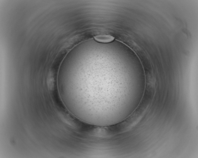 X0000113040080200909101927