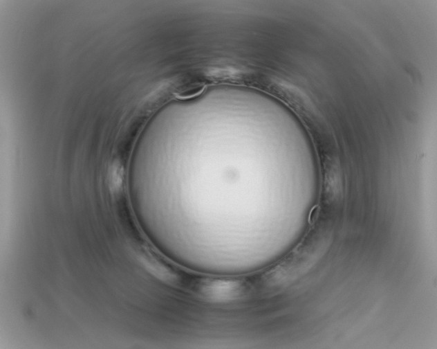 X0000113040081200909101927