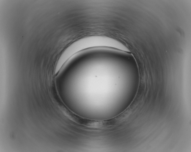 X0000113040084200909101927