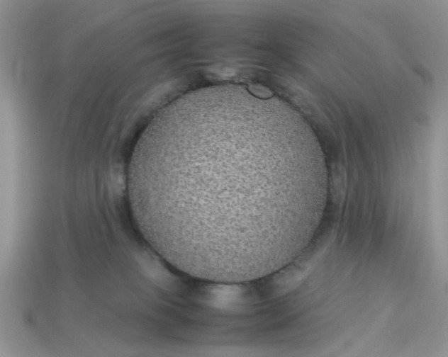 X0000113040085200909101927