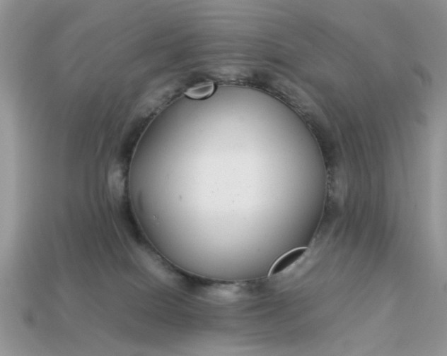 X0000113040086200909101927