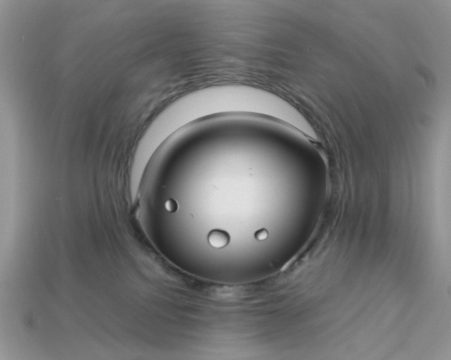 X0000113040088200909101927