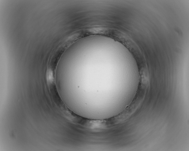 X0000113040089200909101927